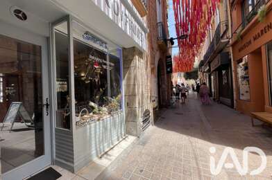 Commerce  66000 €