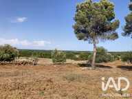 Vente Terrain à bâtir 559 m&sup2; — photo 3