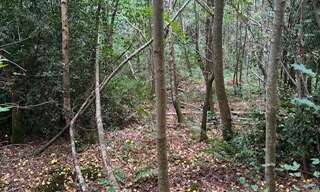 Terrain  7705 m² à vendre à La Croix-aux-Bois (08400)