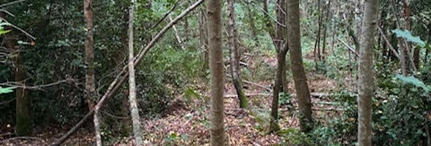 Terrain  7705 m² à vendre à La Croix-aux-Bois (08400)