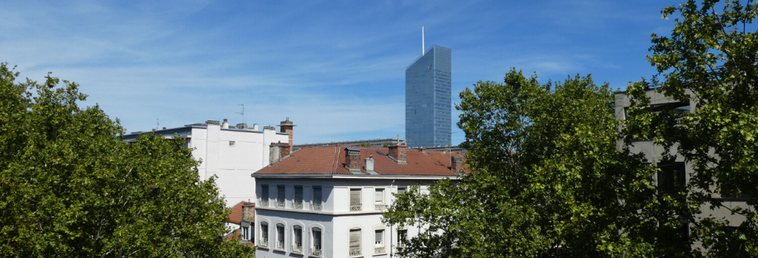 Appartement 5 Pièces 145 m² à vendre à Lyon 3 (69003)