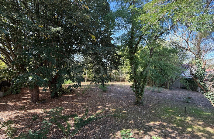 Maison Bonny Sur Loire 5 pièce(s) 170m² 4 chambres terrain 1562 m² — photo 5