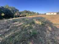 TERRAIN DE 2736 M2 GIMONT — photo 4