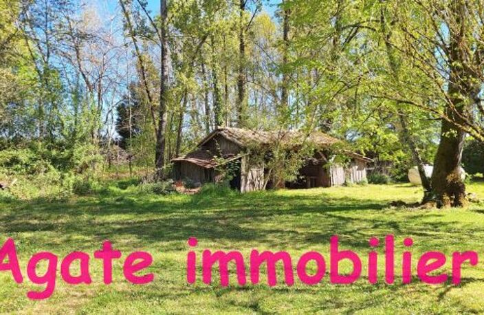 MAISON EN PIERRE A RENOVER AVEC GRAND TERRAIN — photo 3