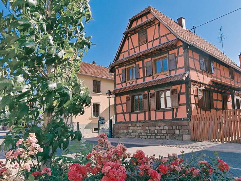Maison alsacienne 140 m² - 4 chambres + dépendance 95 m² – Bietlenheim — photo 1
