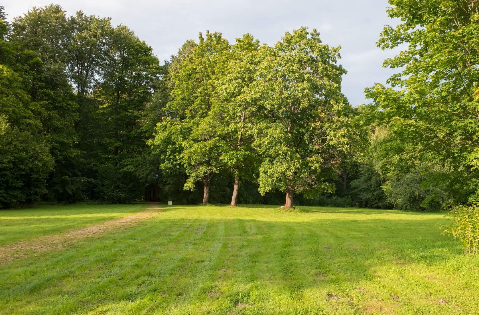 Terrain à bâtir de 300 m² à SAINT-THIBAULT-DES-VIGNES (77)