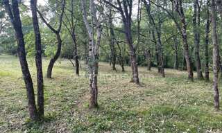 Terrain  1181 m² à vendre à Montaigut-sur-Save (31530)