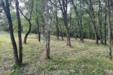 Terrain  120000 €