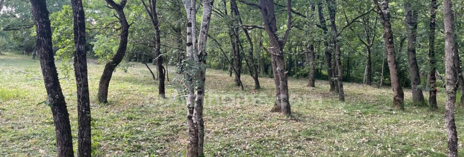 Terrain  1181 m² à vendre à Montaigut-sur-Save (31530)