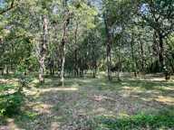 TERRAIN BOISE 1181 M² — photo 2