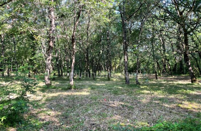 TERRAIN BOISE 1181 M² — photo 2
