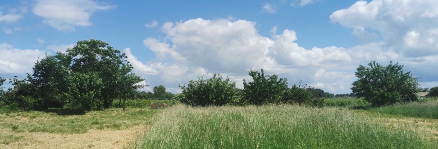 Terrain  1085 m² à vendre à Coimères (33210)