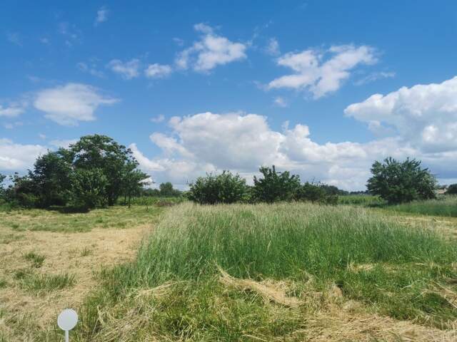 Terrain à bâtir à Coimères (33210) — photo du bien