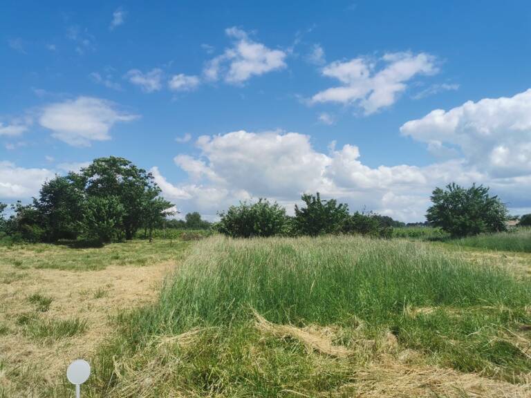 Terrain à bâtir à Coimères (33210) — photo 1
