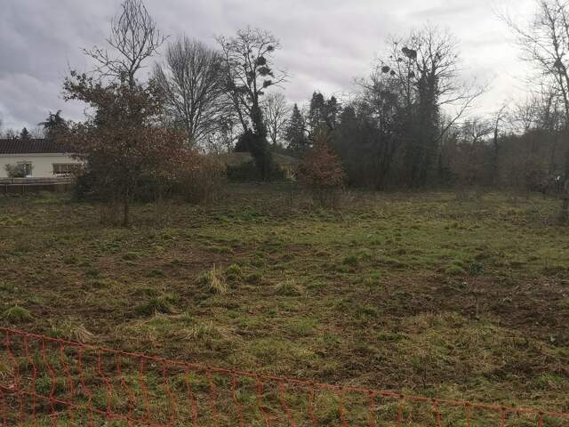 Terrain à bâtir à Noaillan (33730) — photo du bien