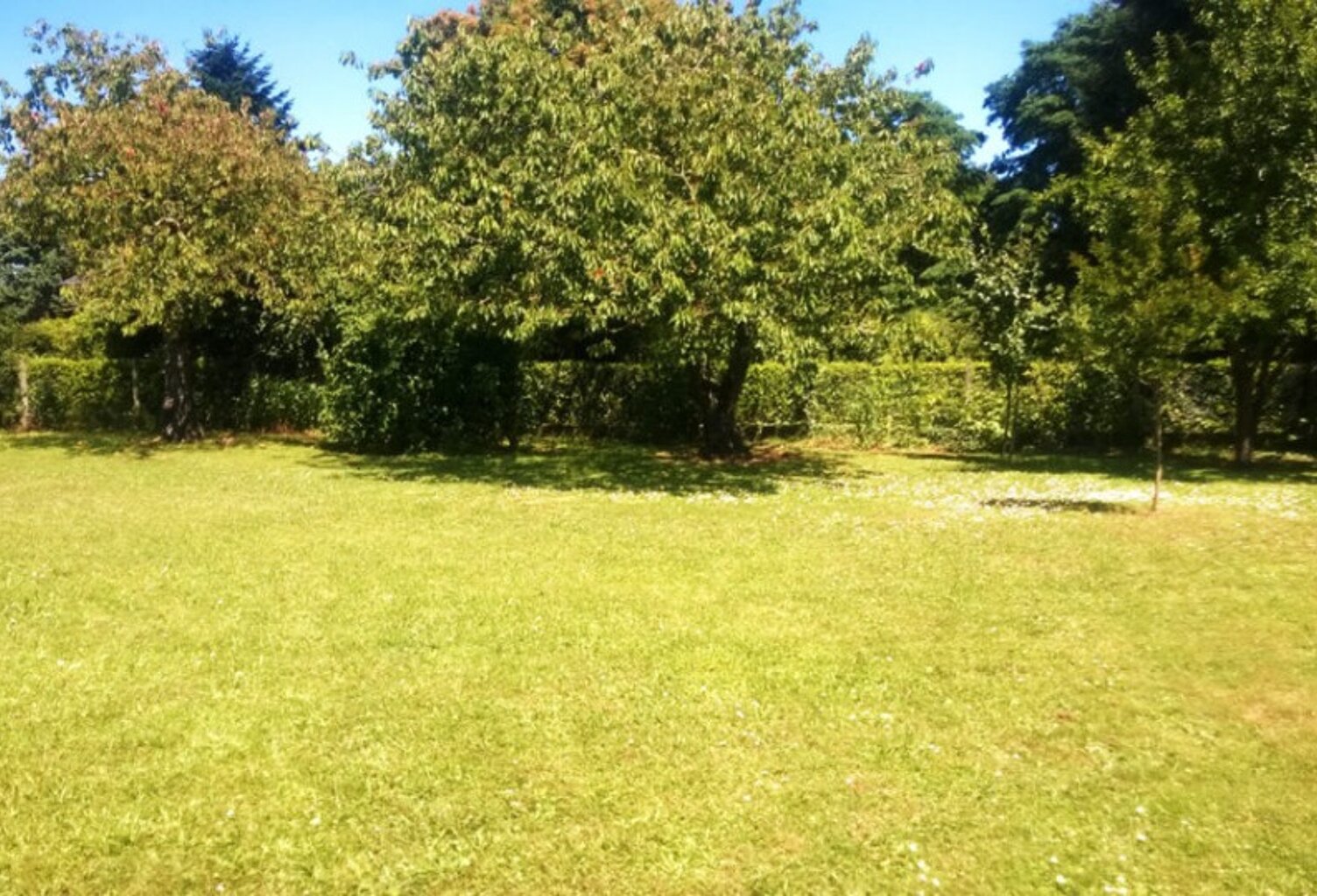 Terrain à bâtir à Castres-Gironde (33640) — photo 1