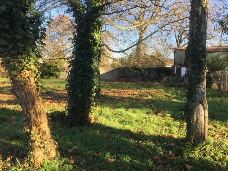 Terrain à bâtir à La Brède (33650) — photo 1