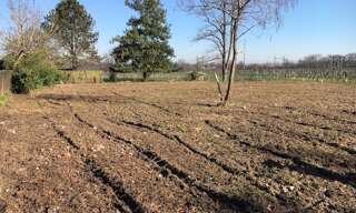 Terrain  650 m² à vendre à Saint-Selve (33650)