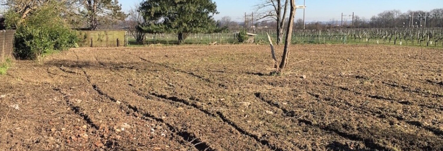 Terrain  650 m² à vendre à Saint-Selve (33650)
