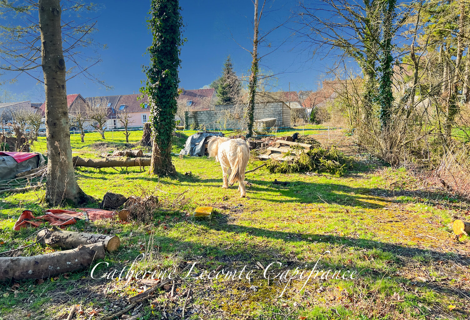 WIRWIGNES - CORPS DE FERME RÉNOVÉ - 152 M2  - 8 PIÈCES  - DÉPENDANCES -  1,6 HECTARES — photo 1