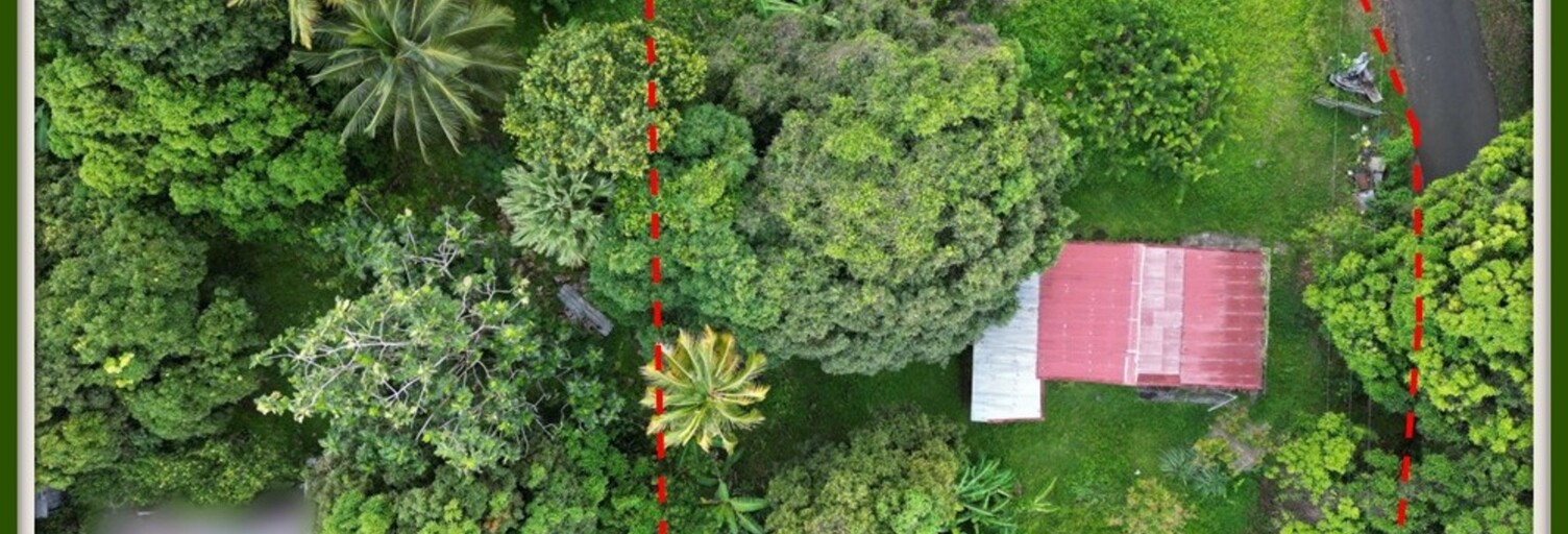 Terrain  1300 m² à vendre à Gros-Morne (97213)