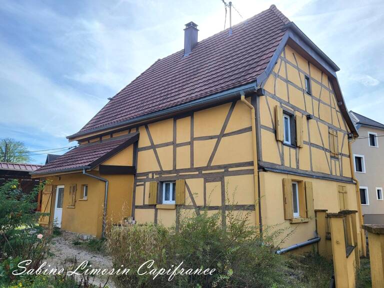 Maison à vendre 9 pièces RETZWILLER (68) — photo 1