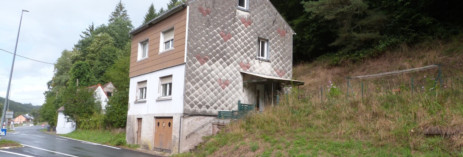 Photo N° 2