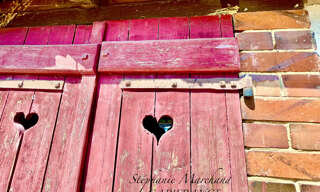 Photo N° 2