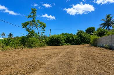 Terrain  299000 €