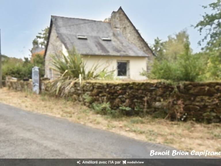 Maison en pierre de 55 m² avec jardin et terrasse- le Tiercent — photo 1
