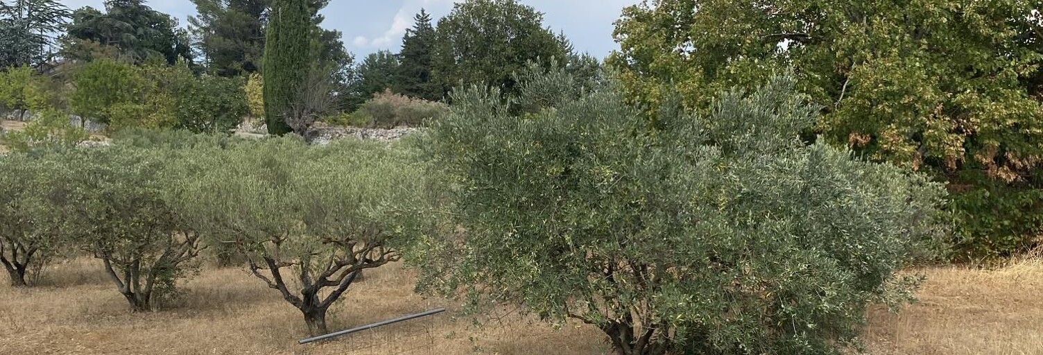 Terrain 620 m² à construire Saint-Maximin-la-Sainte-Baume (83470)