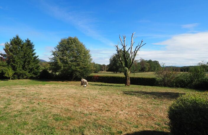 Proche Giromagny, propriété dans un parc de 3554 m2 sans vis — photo 3