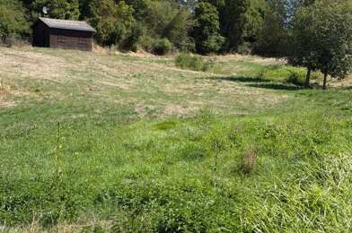 Terrain  80000 €