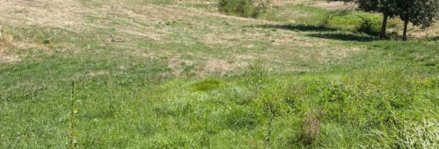 Terrain  6843 m² à vendre à Saint-Georges (15100)