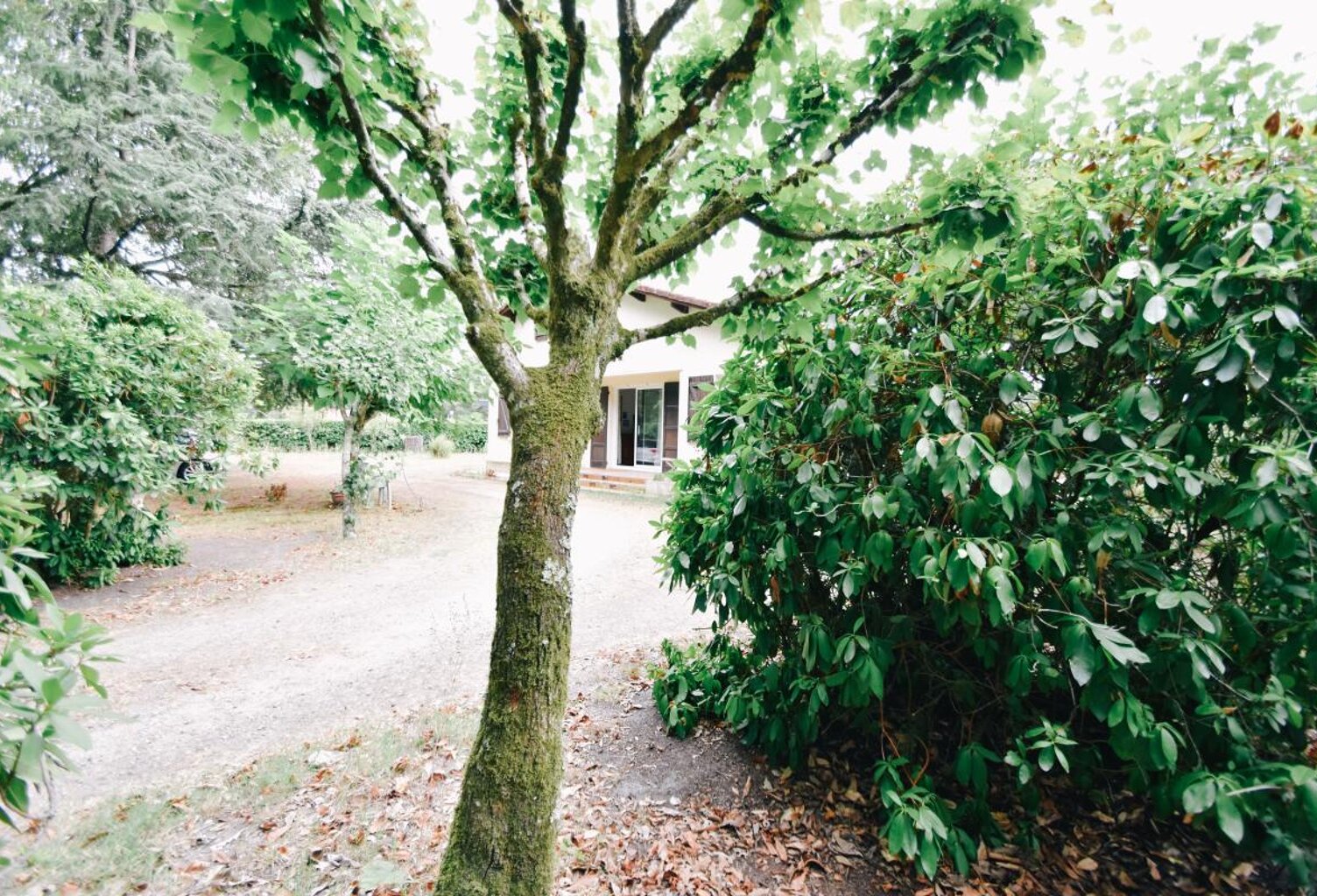 Maison dans un magnifique cadre — photo 1