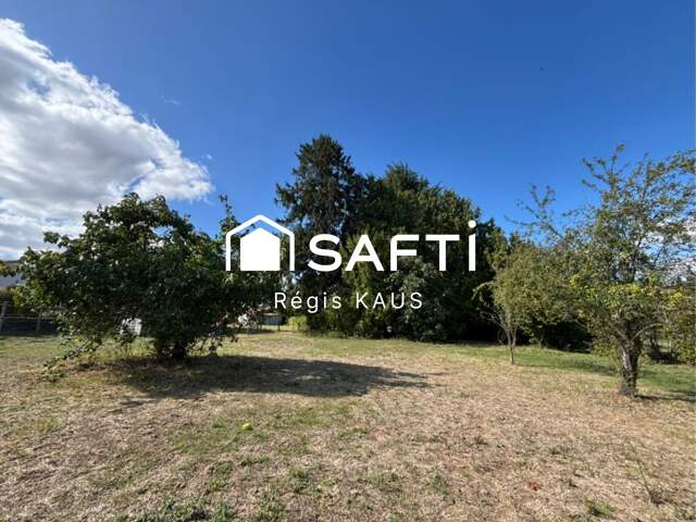 maison en pierre 4 chambres, terrain arboré de 5000 m2 — photo du bien