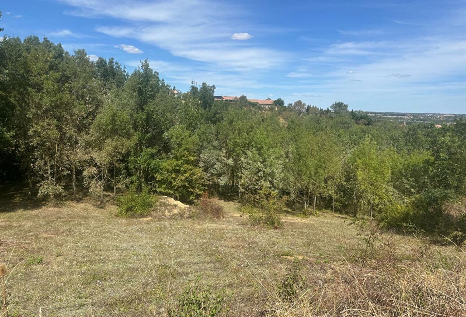 Terrain Gardouch 1093 m2 — photo 1