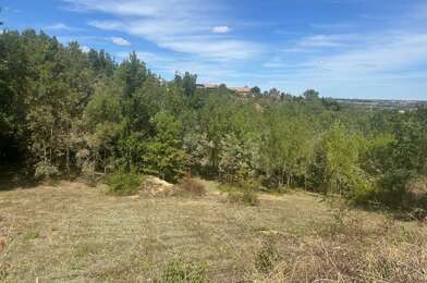 Terrain  88990 €
