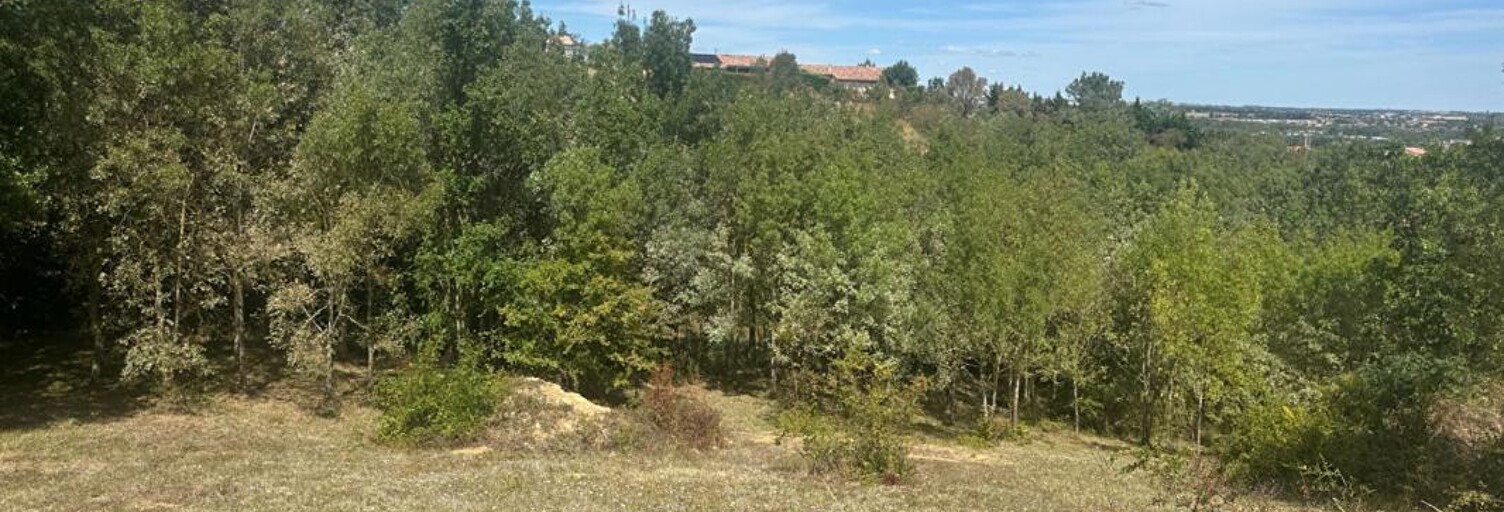 Terrain  1193 m² à vendre à Gardouch (31290)