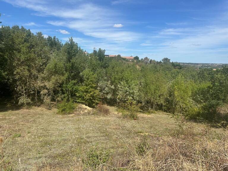 Terrain Gardouch 1093 m2 — photo 1