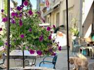 Vente Restaurant 160 m&sup2; — photo 4