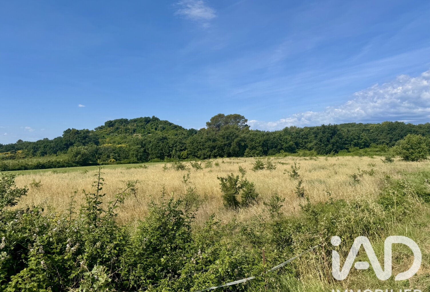 Vente Terrain agricole 22 955 m&sup2; — photo 1