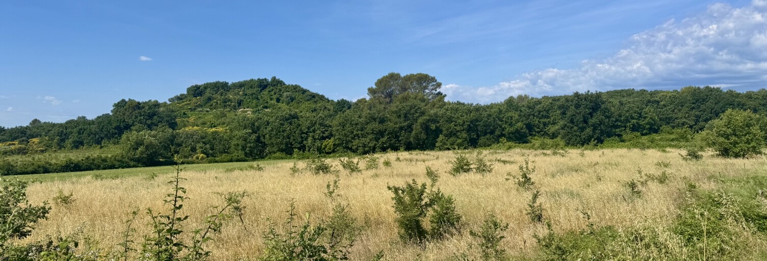 Terrain  22955 m² à vendre à Saint-Hippolyte-de-Caton (30360)