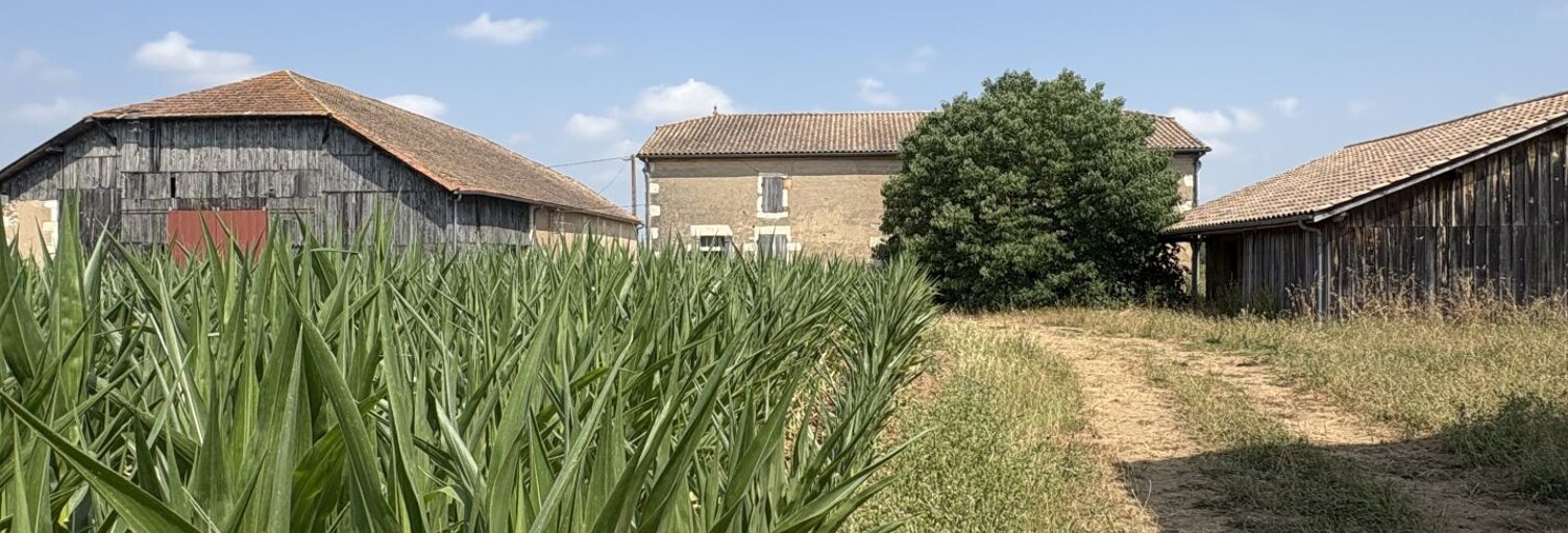 Maison 4 Pièces 105 m² à vendre à Lafitte-sur-Lot (47320)