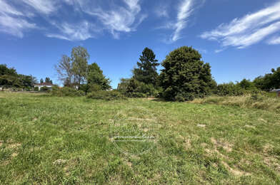 Terrain  81500 €