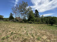 LE PALAIS-SUR-VIENNE   TERRAIN DE 3 139 m2 PROCHE CENTRE-VIL — photo 4