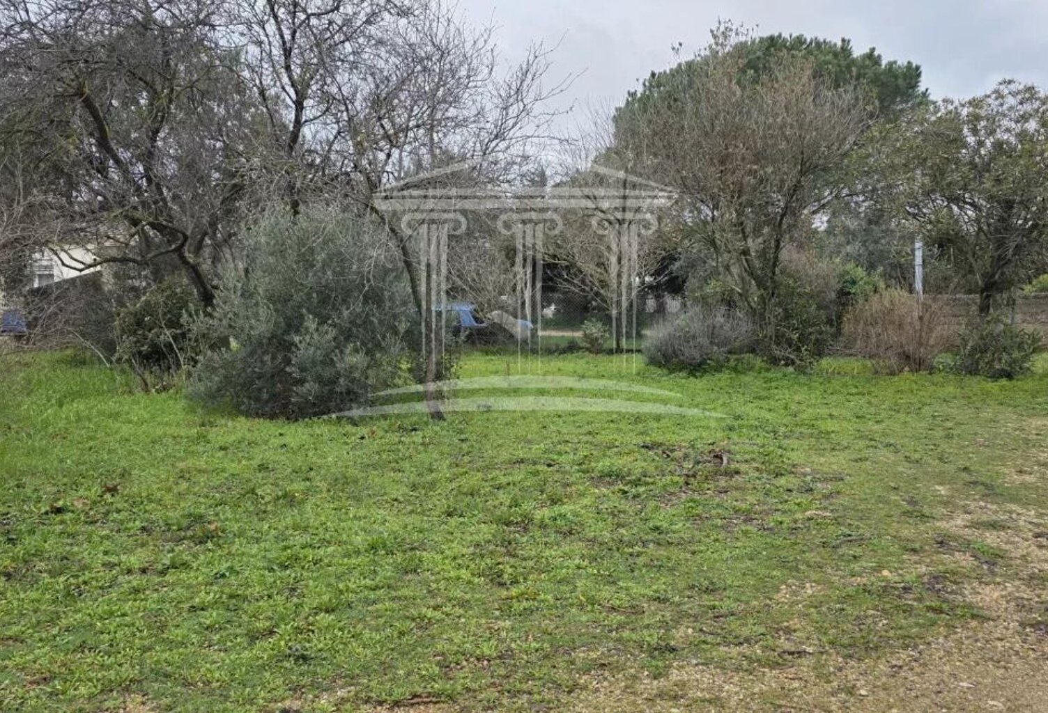 Terrain — photo 1