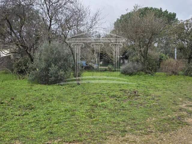 Terrain — photo du bien