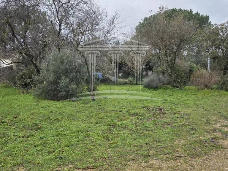 Terrain — photo 1