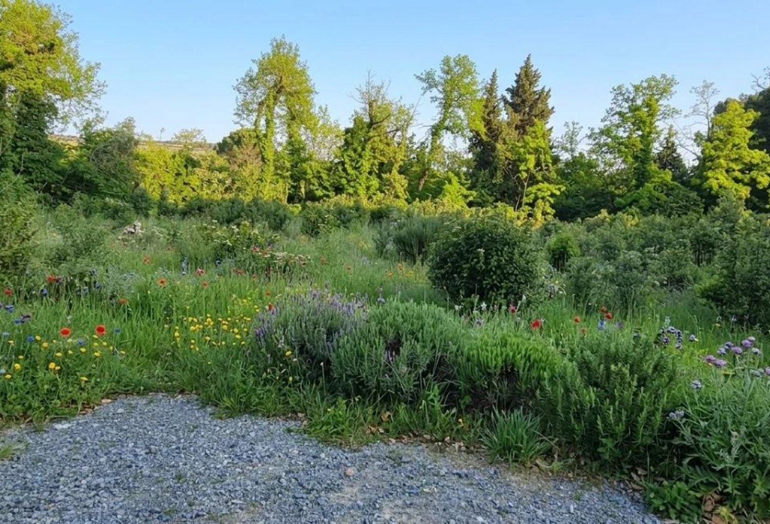 Terrain viabilisé — photo 1